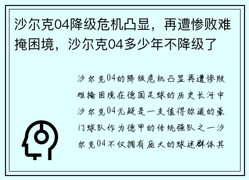 沙尔克04降级危机凸显，再遭惨败难掩困境，沙尔克04多少年不降级了