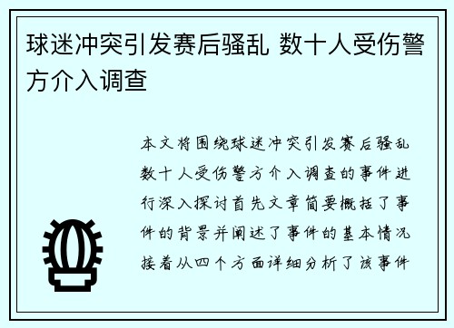 球迷冲突引发赛后骚乱 数十人受伤警方介入调查